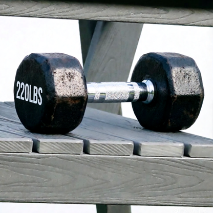 Dumbbell with black weights and chrome handle on a weathered wooden deck outdoors on Tampa Home & Garden Store