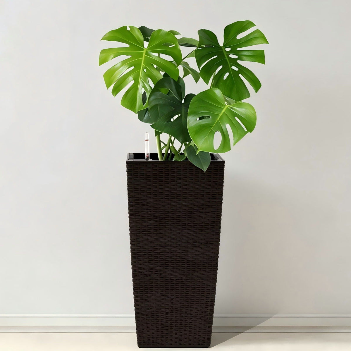 Indoor Outdoor Planter With Automatic Watering System dark brown wicker with Monstera leaves on Tampa Home & Garden Store