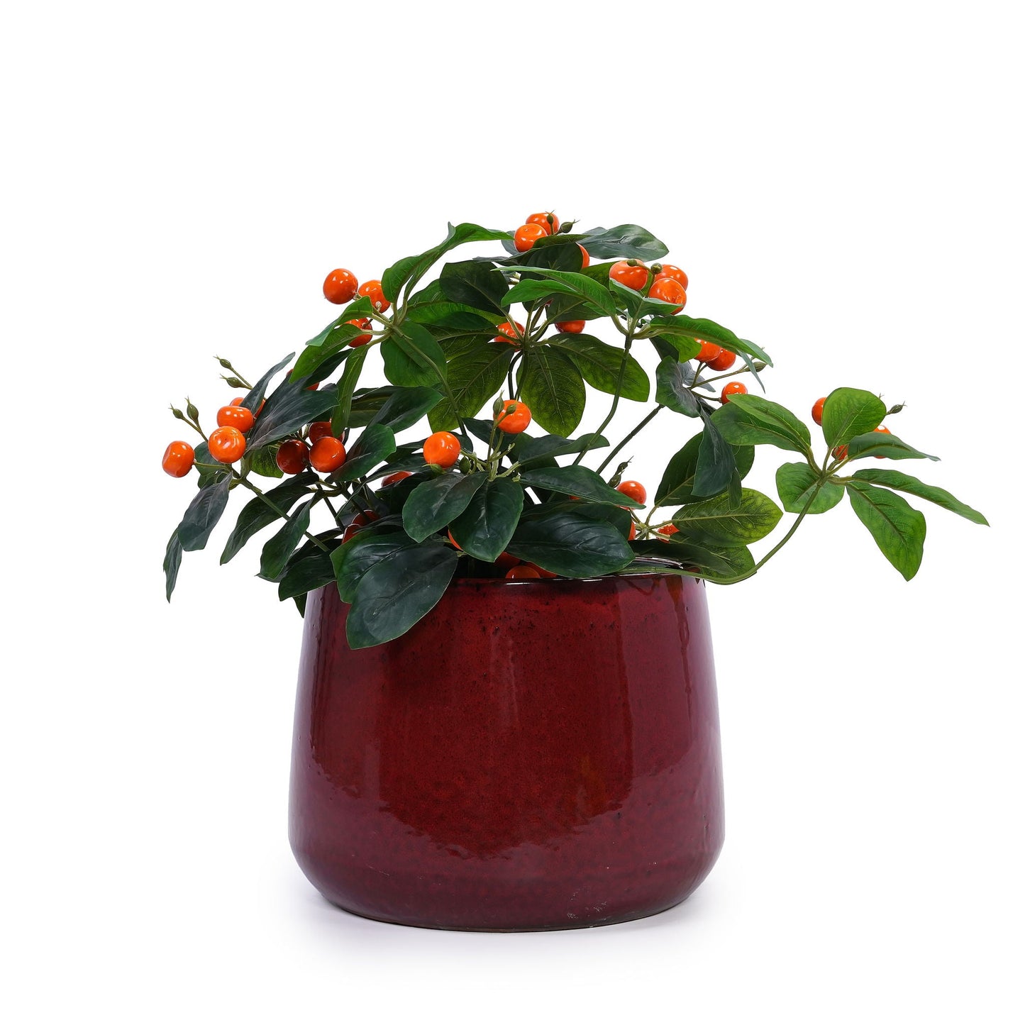 Planter pot in bean paste red with glossy finish hosting a leafy plant with orange berries on Tampa Home & Garden Store