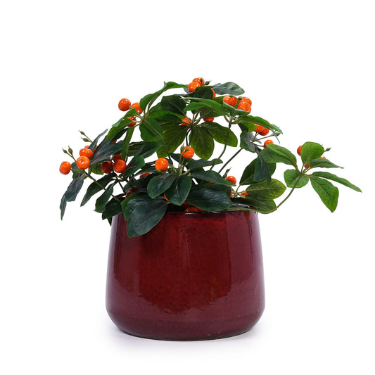 Planter pot in bean paste red with glossy finish hosting a leafy plant with orange berries on Tampa Home & Garden Store