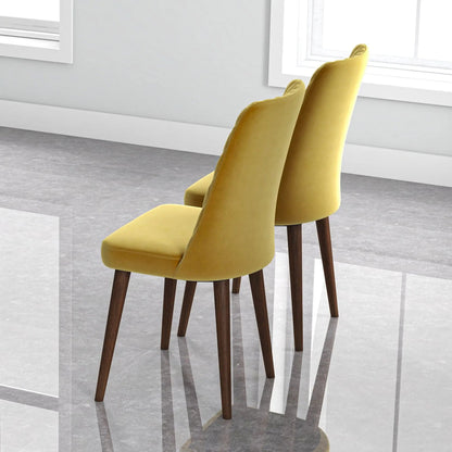 Katie Mid Century Modern Dining Chair Set