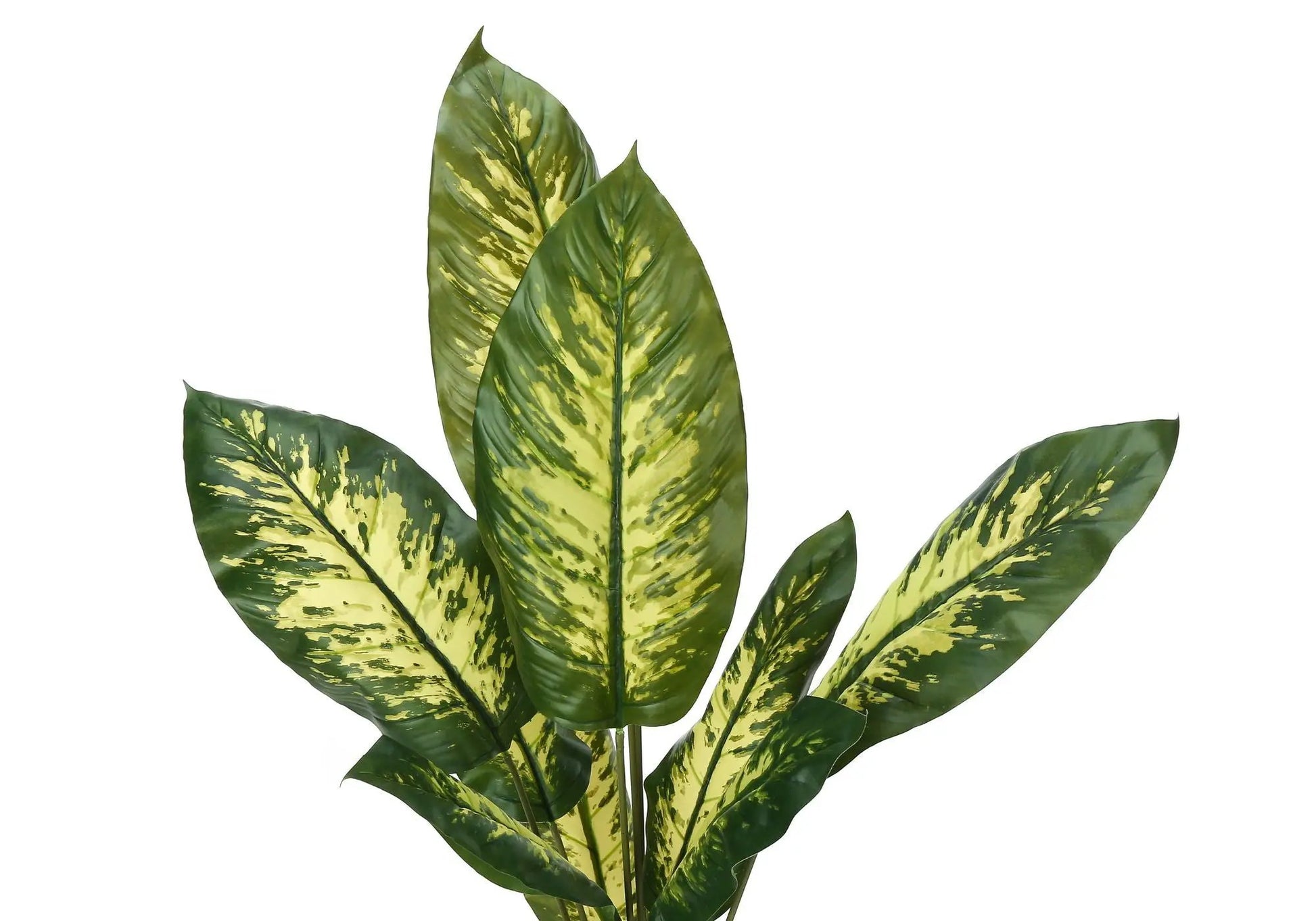 Artificial Dieffenbachia plant, 47in tall with green-yellow variegated leaves decorative faux greenery Unique Piece Furniture on Tampa Home & Garden Store