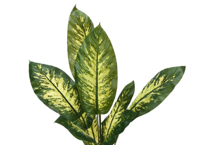 Artificial Dieffenbachia plant, 47in tall with green-yellow variegated leaves decorative faux greenery Unique Piece Furniture on Tampa Home & Garden Store