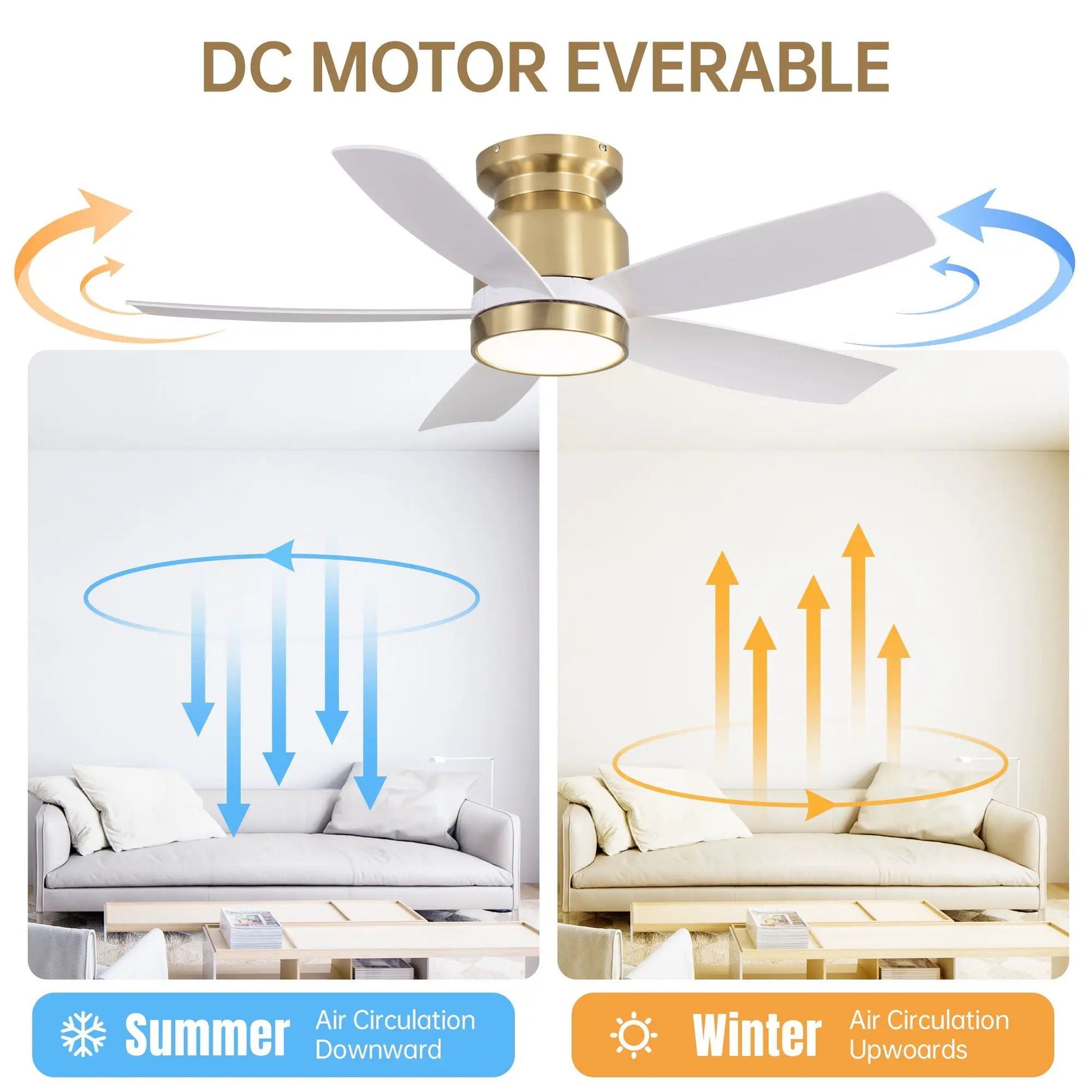 Ceiling fan with LED light, white blades, brass body, DC motor by Unique Piece Furniture on Tampa Home & Garden Store