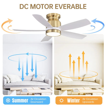 Ceiling fan with LED light, white blades, brass body, DC motor by Unique Piece Furniture on Tampa Home & Garden Store