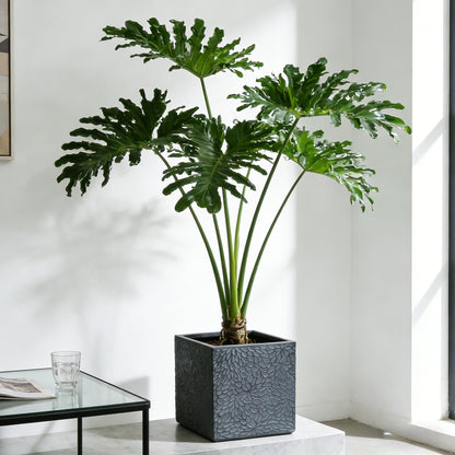 Large magnesium oxide planter with textured gray finish housing a lush leafy green plant on Tampa Home & Garden Store