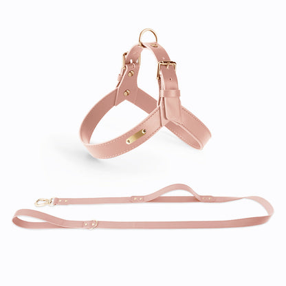 Pet Zen pink vest-type chest harness with matching leash, adjustable straps, rose hue on Tampa Home & Garden Store