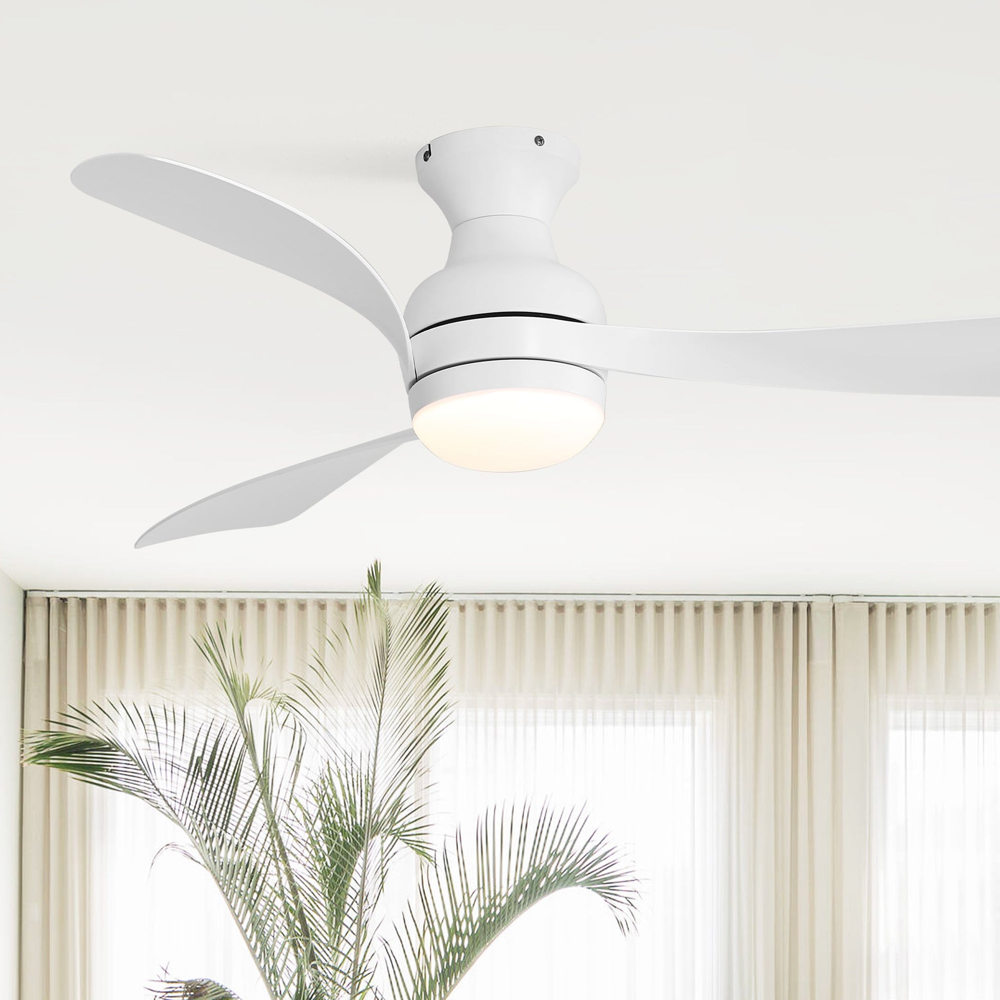 52-inch low-profile white ceiling fan with dimmable LED light by HouseOfZazla on Tampa Home & Garden Store