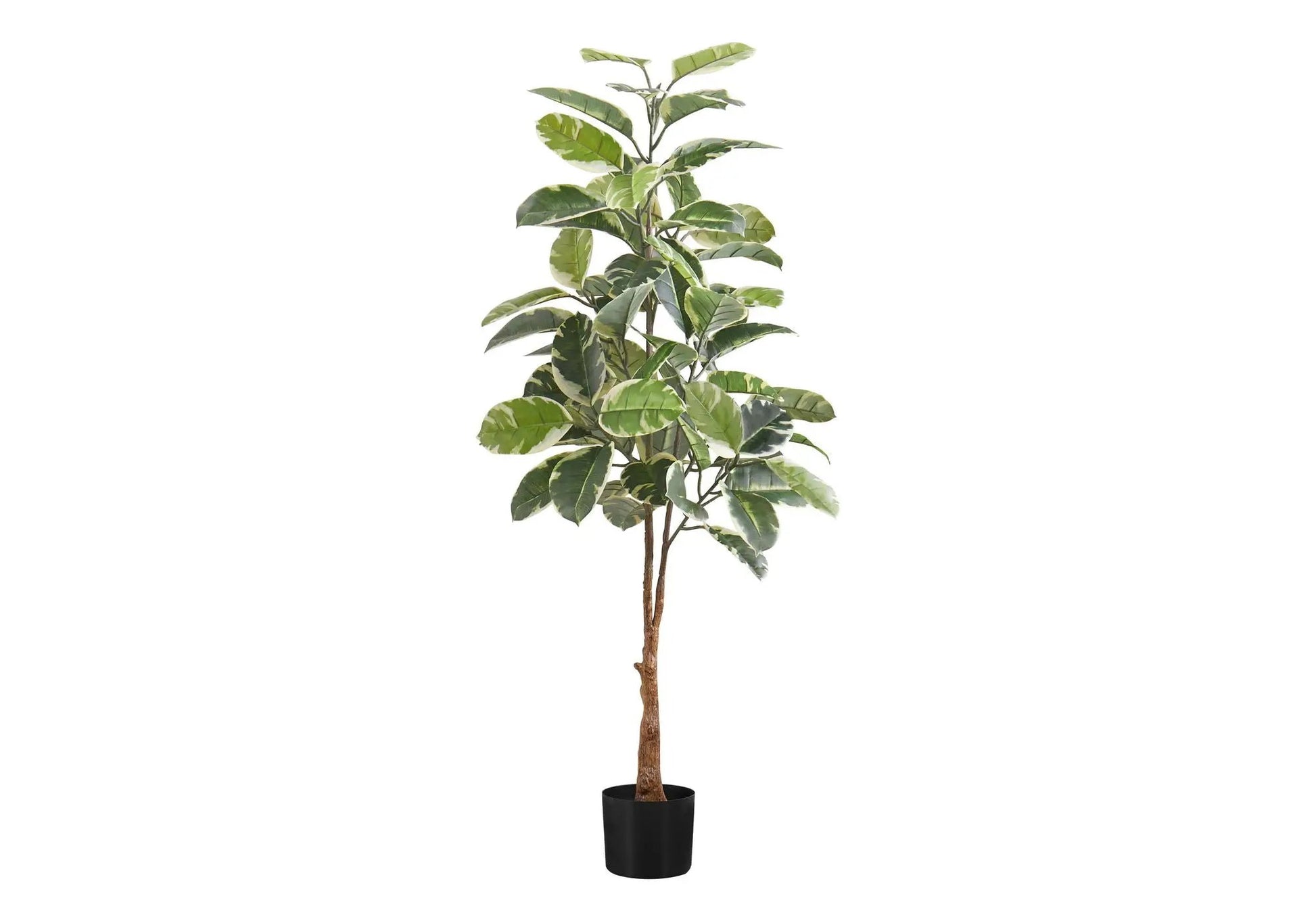 Artificial rubber tree plant, 52in tall in a black pot, greenery by Unique Piece Furniture on Tampa Home & Garden Store