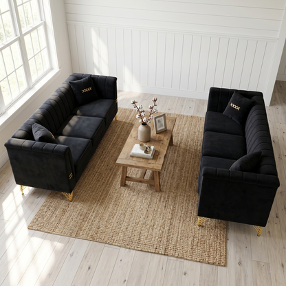 Elegant Two Piece Velvet Sofa Set and Cushion