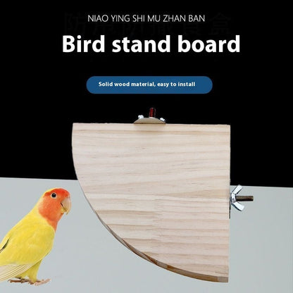 Solid wood bird stand board jumping platform for cages with wall mounting; parrot beside it on Tampa Home & Garden Store