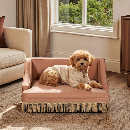 Duchess cat bed sofa in blush pink with fringe trim, placed in living room with two small dogs on Tampa Home & Garden Store