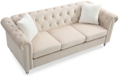 the Raisa Tufted Sofa and Nailhead Accents