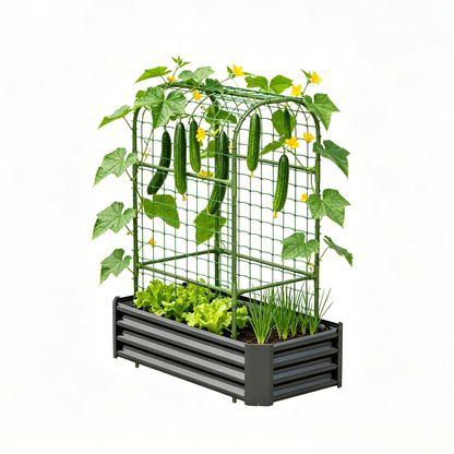 Outdoor Raised Garden Bed and Trellis Planter