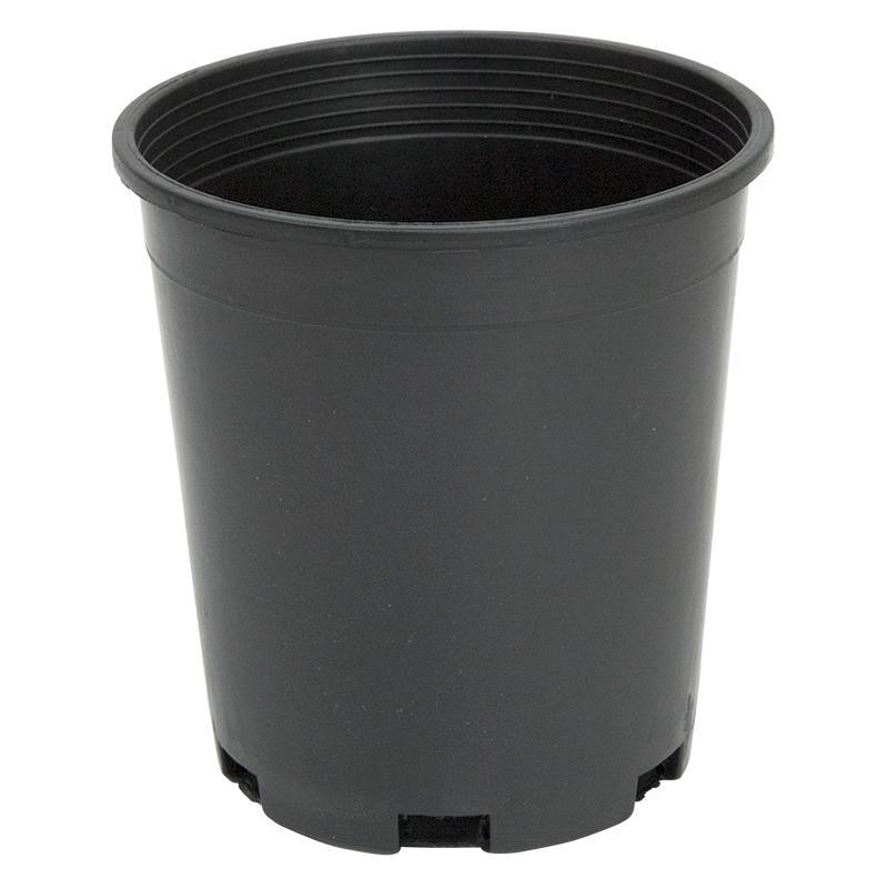 1 Gallon Pot (Black Plastic) - Tampa Home & Garden Store