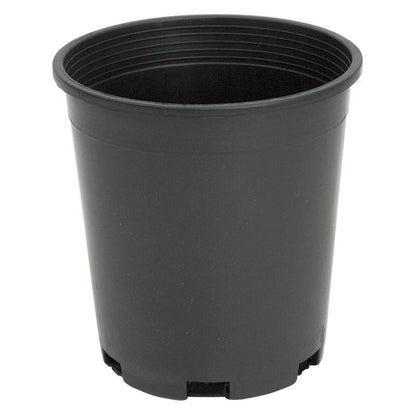 1 Gallon Pot (Black Plastic) - Tampa Home & Garden Store