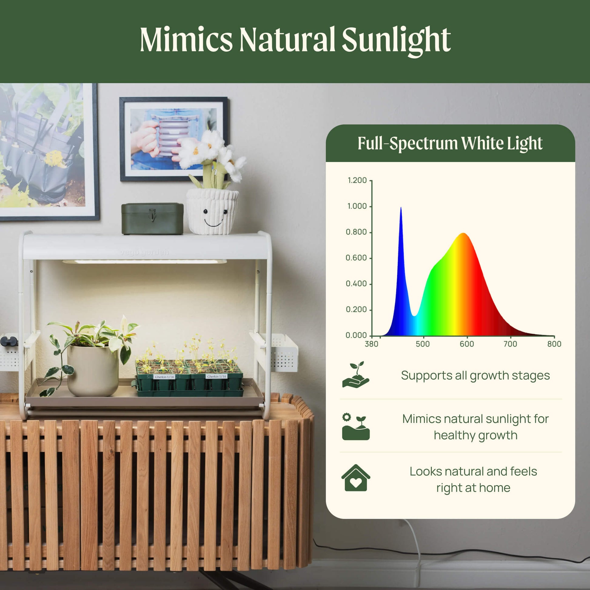 1 Tier Tabletop Grow Light Garden - Tampa Home & Garden Store