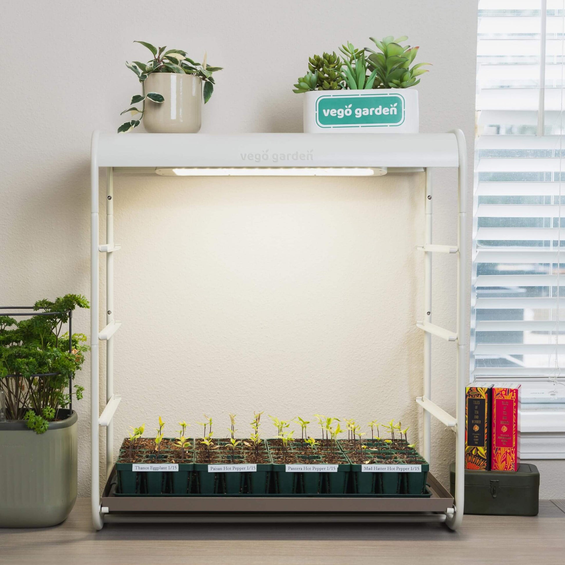 1 Tier Tabletop Grow Light Garden - Tampa Home & Garden Store
