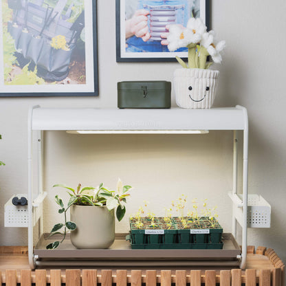1 Tier Tabletop Grow Light Garden - Tampa Home & Garden Store