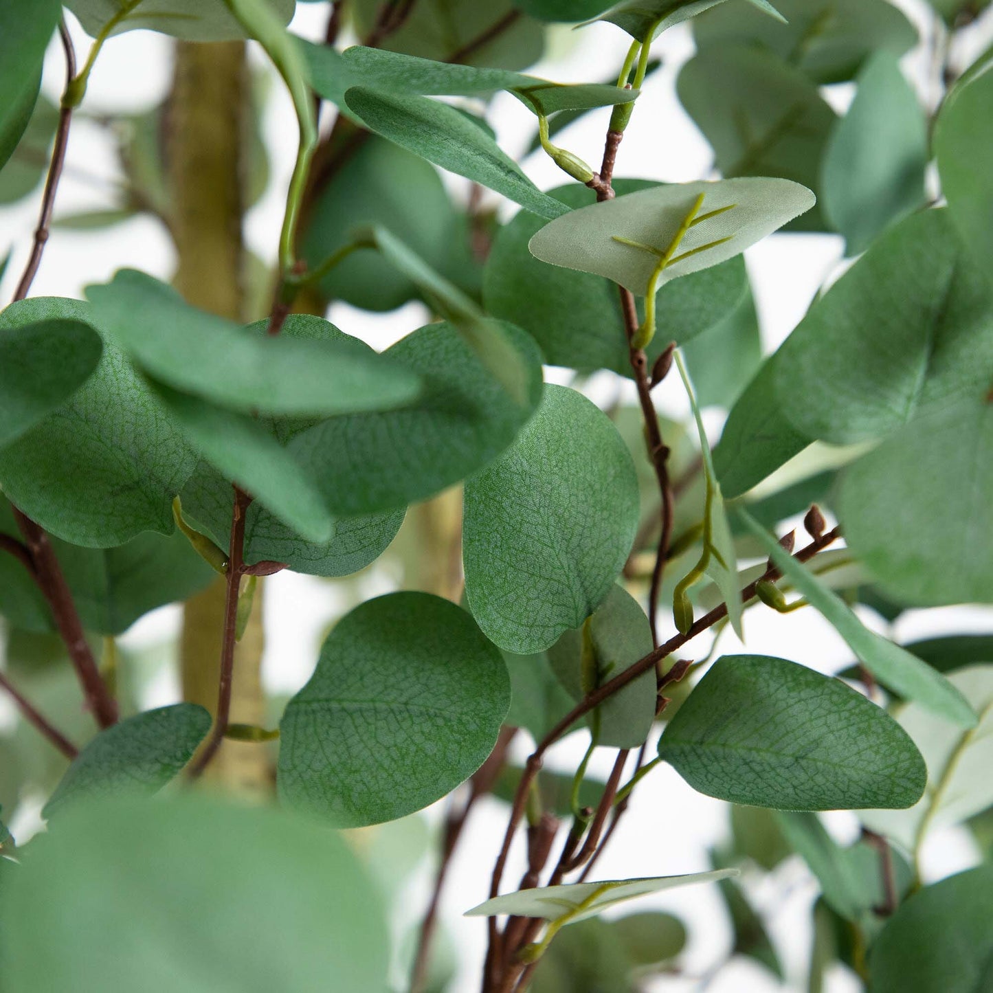 10’ Artificial Eucalyptus Tree - Tampa Home & Garden Store