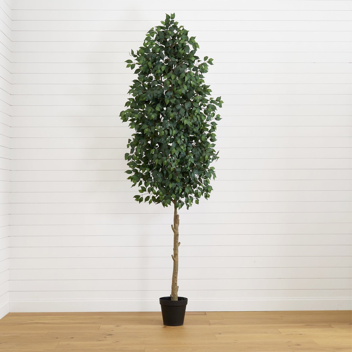 10’ Artificial Ficus Tree - Tampa Home & Garden Store