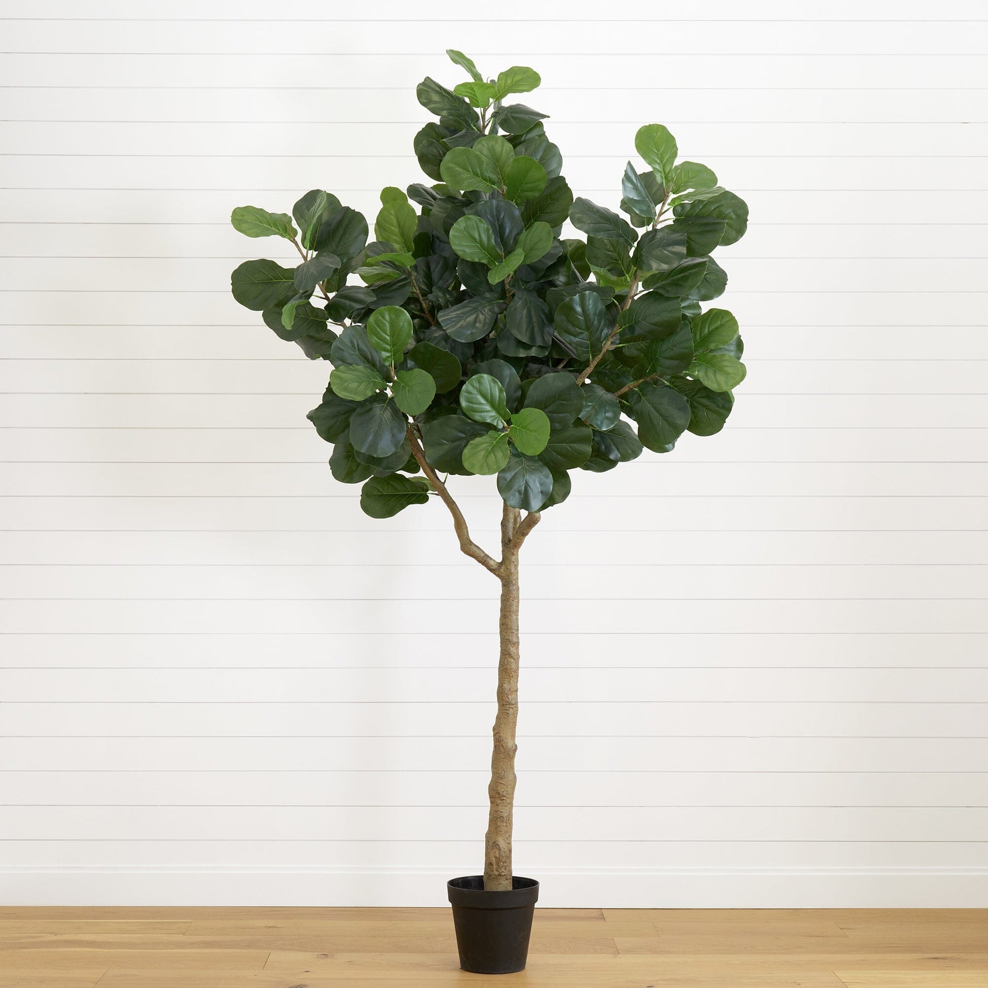 10’ Artificial Fiddle Leaf Fig Tree - Tampa Home & Garden Store