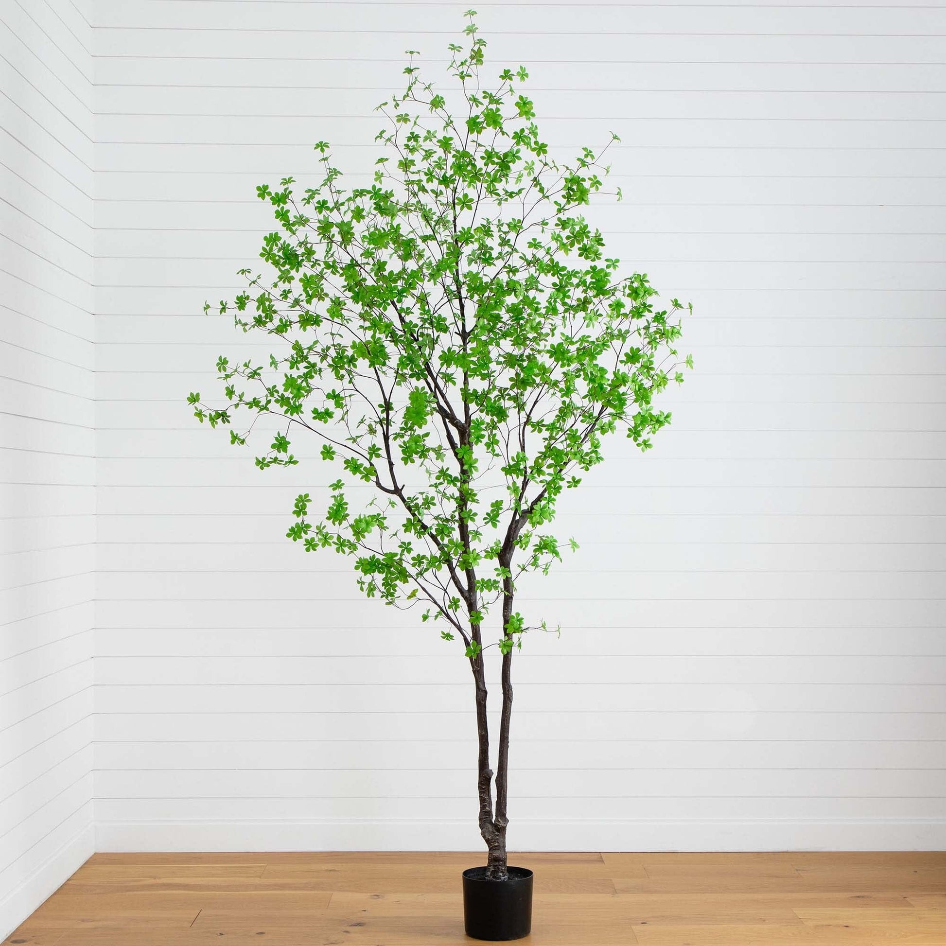 10’ Artificial Minimalist Enkianthus Tree - Tampa Home & Garden Store