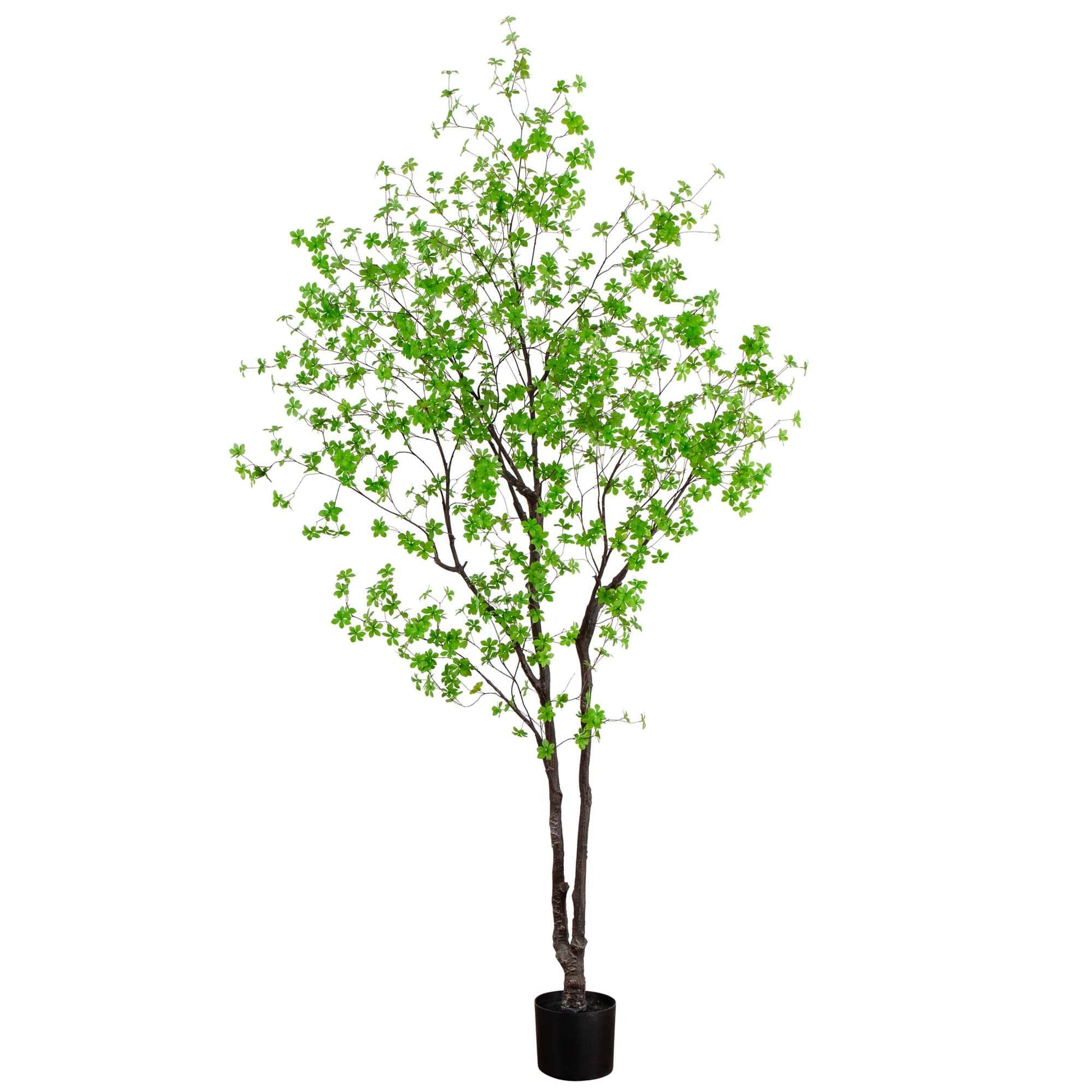 10’ Artificial Minimalist Enkianthus Tree - Tampa Home & Garden Store