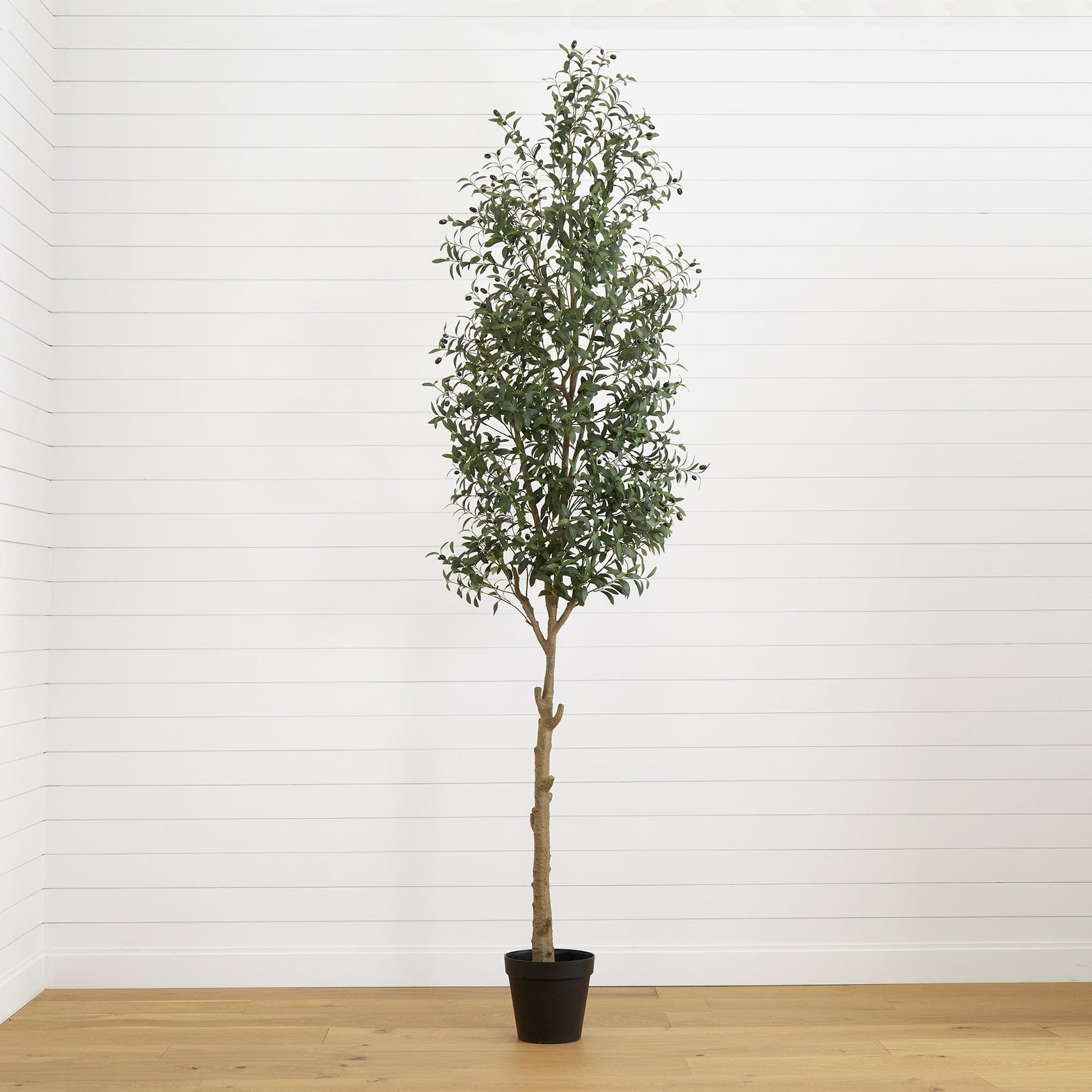 10’ Artificial Olive Tree - Tampa Home & Garden Store