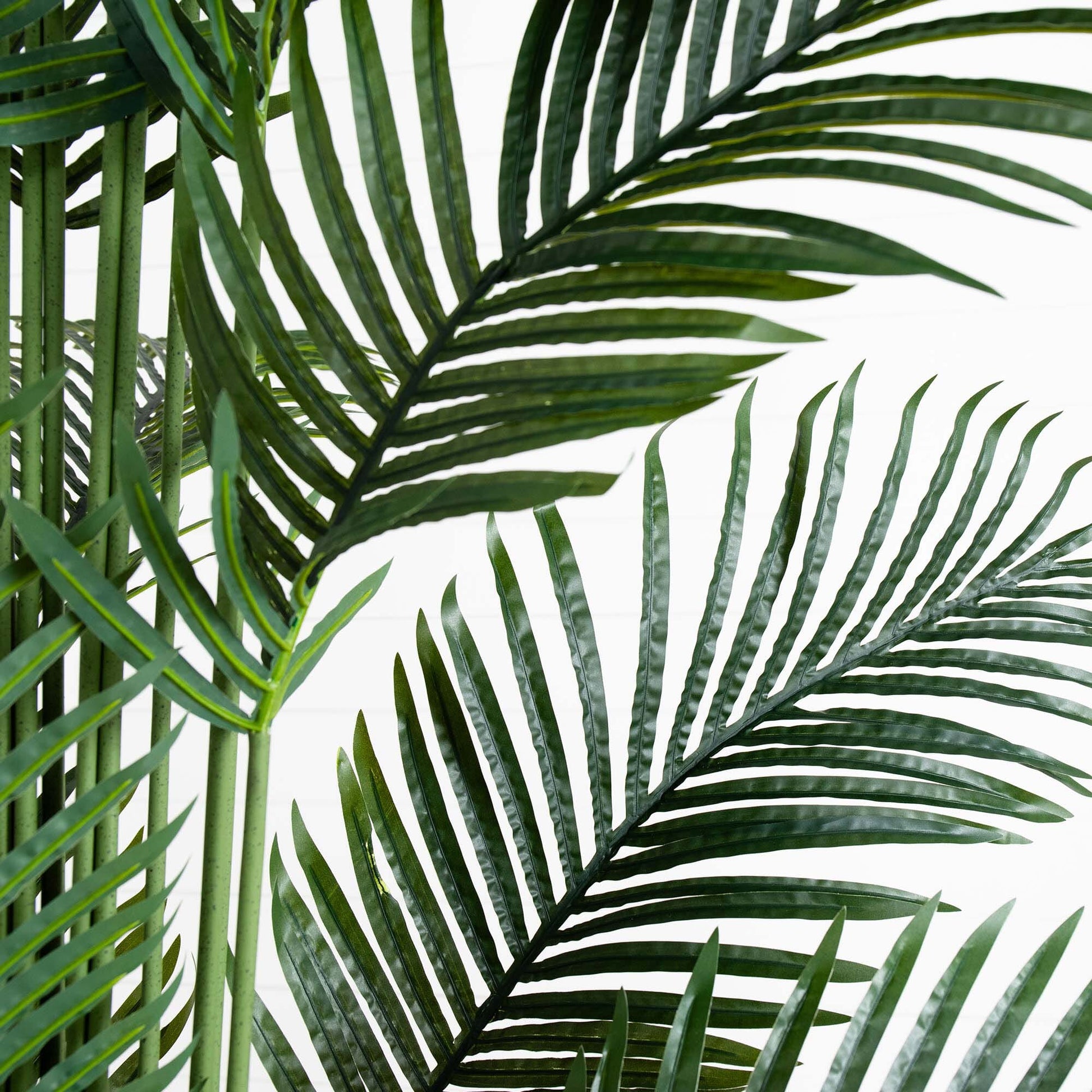 10’ Artificial Paradise Palm Tree - Tampa Home & Garden Store