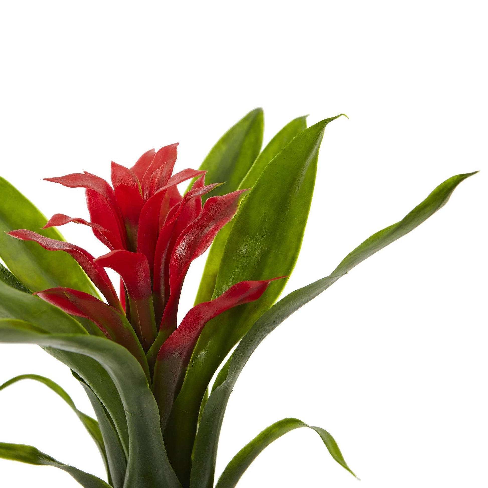 10” Bromeliad Artificial Flower (Set of 6) - Tampa Home & Garden Store