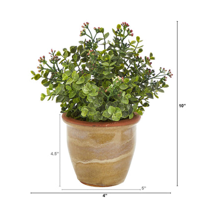 10” Eucalyptus and Sedum Succulent Artificial Plant in Ceramic Planter - Tampa Home & Garden Store