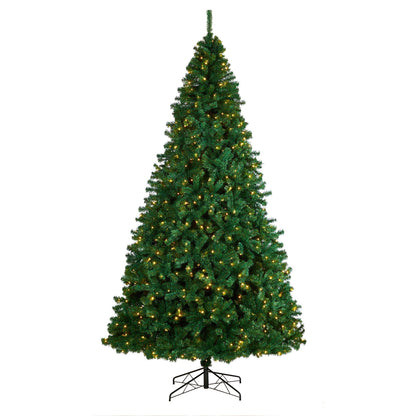 10' Northern Tip Artificial Christmas Tree with 800 Clear LED Lights and 2200 Bendable Branches - Tampa Home & Garden Store