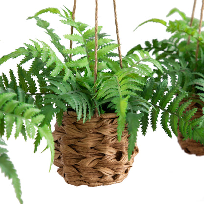 10” UV Resistant Artificial Boston Fern in Hanging Wicker Basket (Indoor/Outdoor) - Set of 3 - Tampa Home & Garden Store