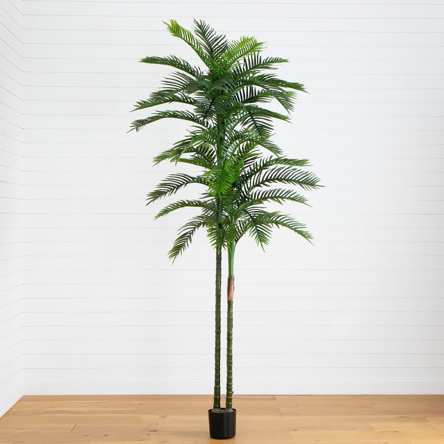 10’ UV Resistant Artificial Double Robellini Palm Tree (Indoor/Outdoor) - Tampa Home & Garden Store