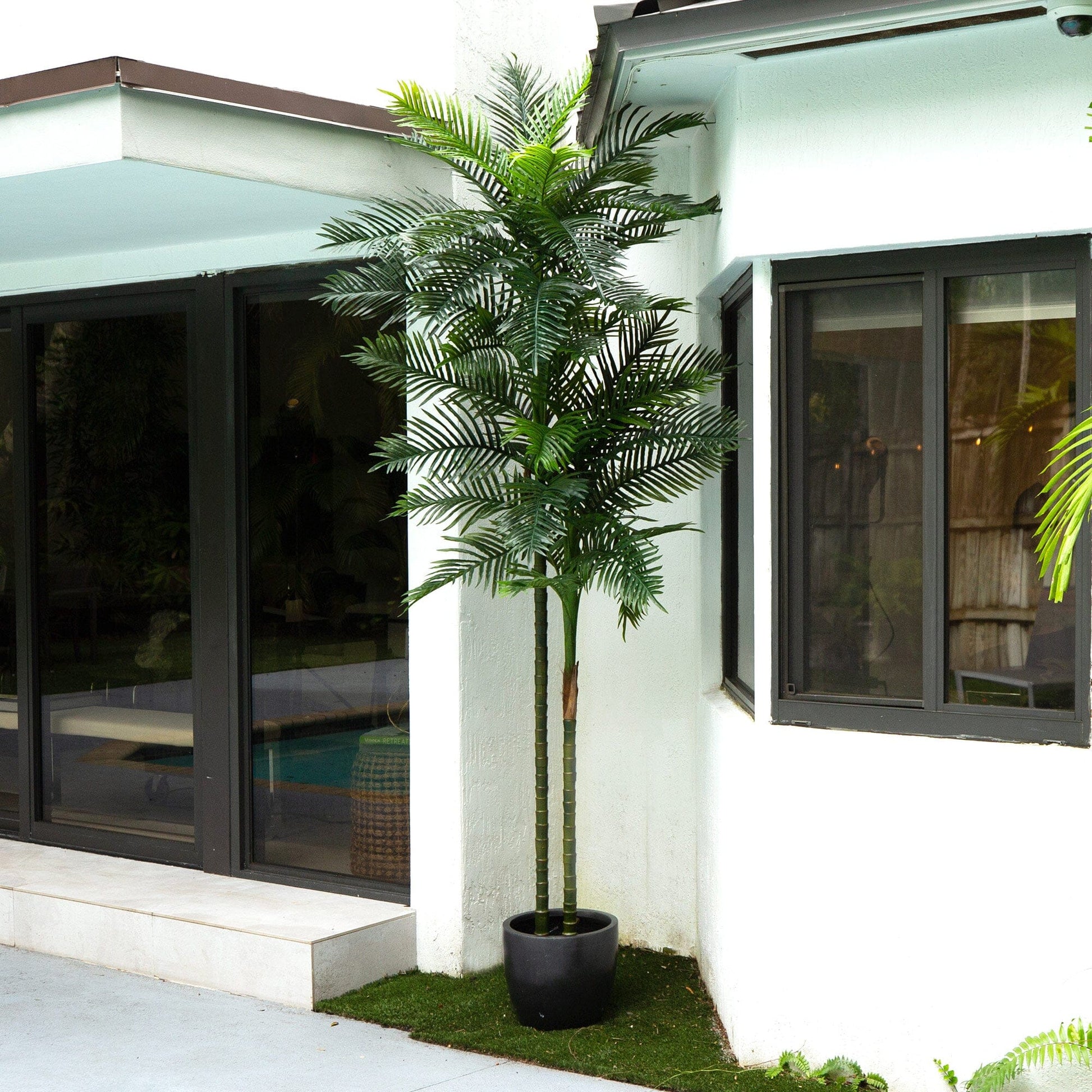10’ UV Resistant Artificial Double Robellini Palm Tree (Indoor/Outdoor) - Tampa Home & Garden Store