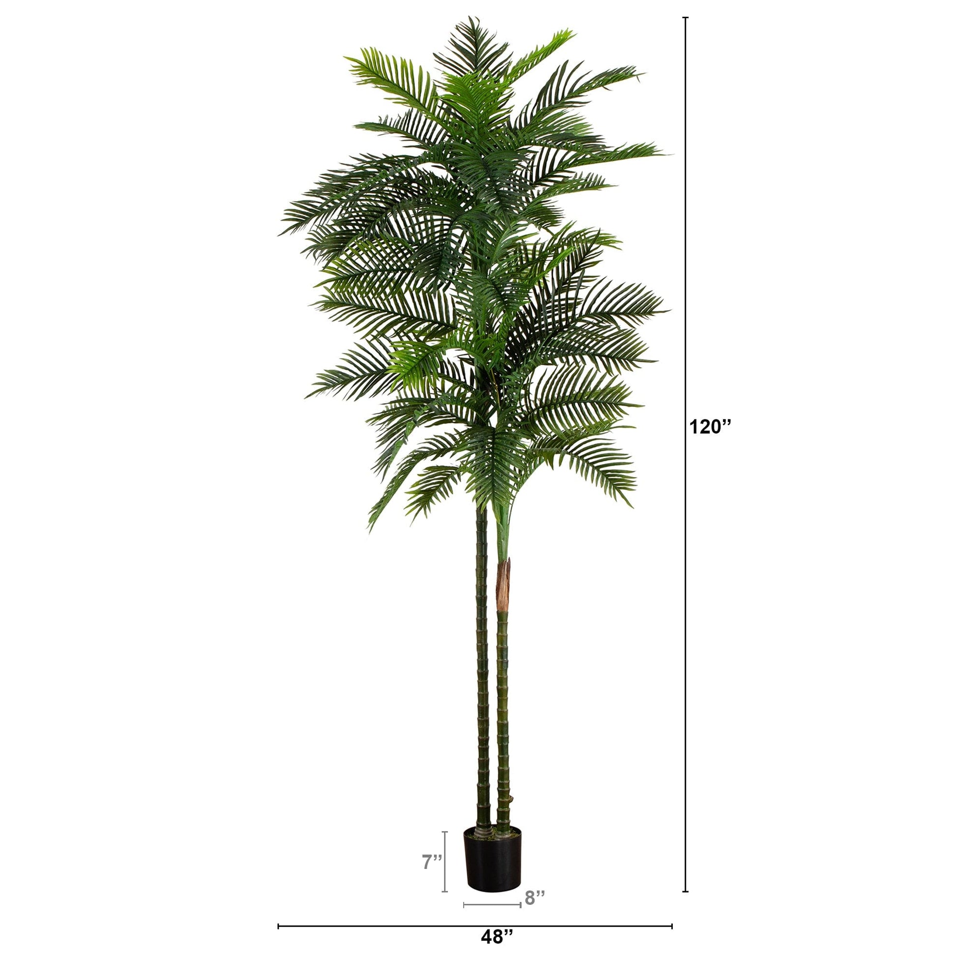 10’ UV Resistant Artificial Double Robellini Palm Tree (Indoor/Outdoor) - Tampa Home & Garden Store