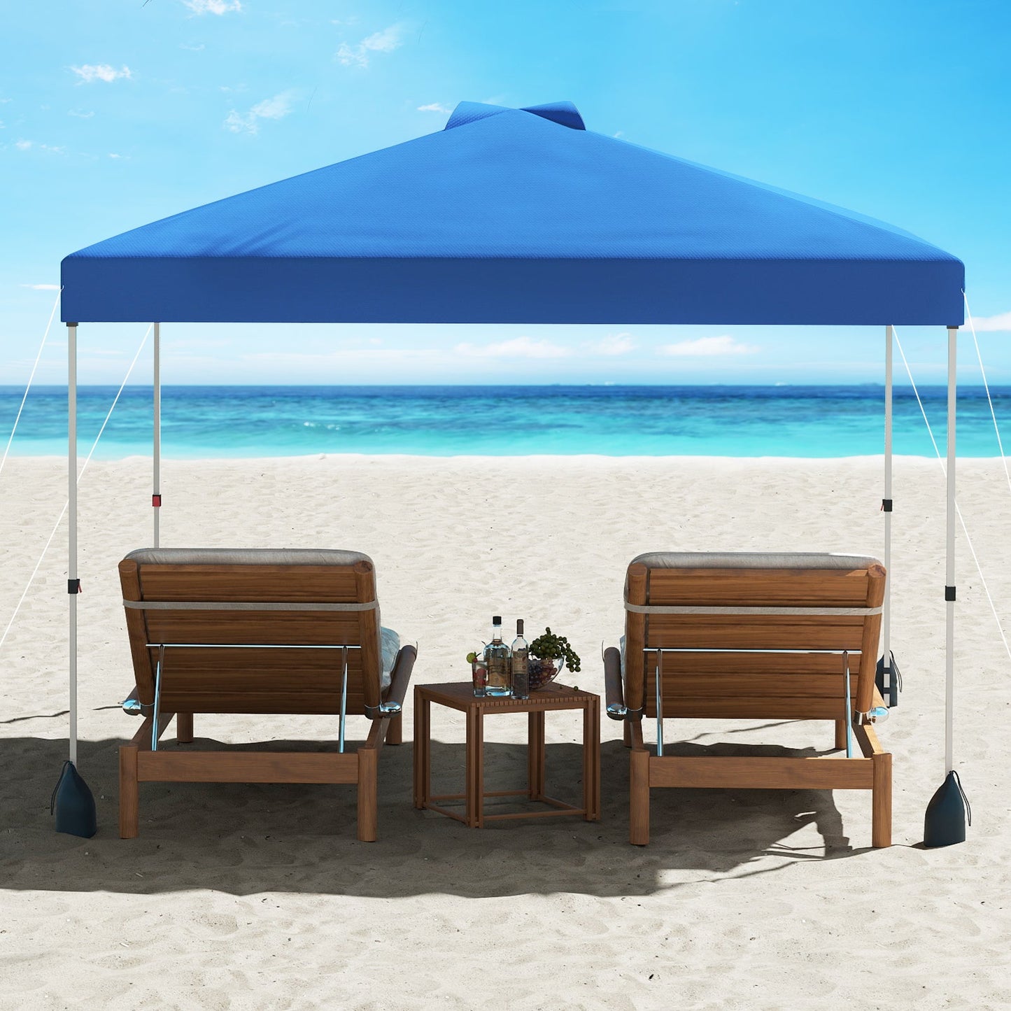10 X 10 FT Pop up Canopy Tent with 1 Sidewall and Wheeled Bag-Blue - Tampa Home & Garden Store