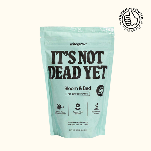 Bloom & Bed outdoor fertilizer bag by MitoGrow, teal packaging with IT'S NOT DEAD YET on Tampa Home & Garden Store