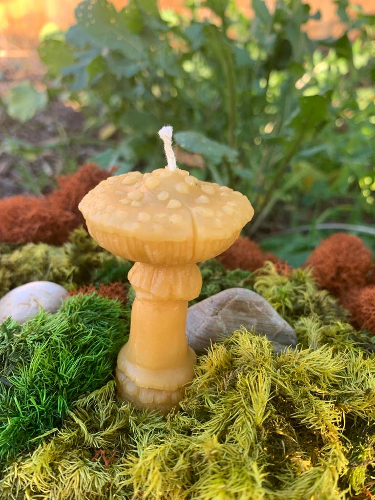 100% Beeswax Candle- Amanita Mushroom - Tampa Home & Garden Store
