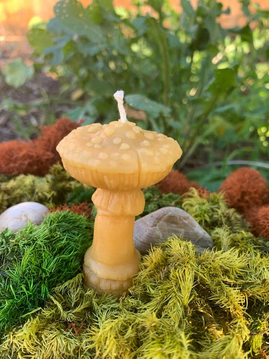 100% Beeswax Candle- Amanita Mushroom - Tampa Home & Garden Store