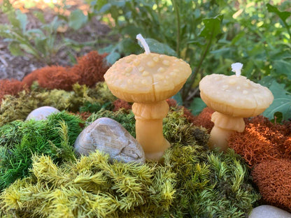 100% Beeswax Candle- Amanita Mushroom - Tampa Home & Garden Store