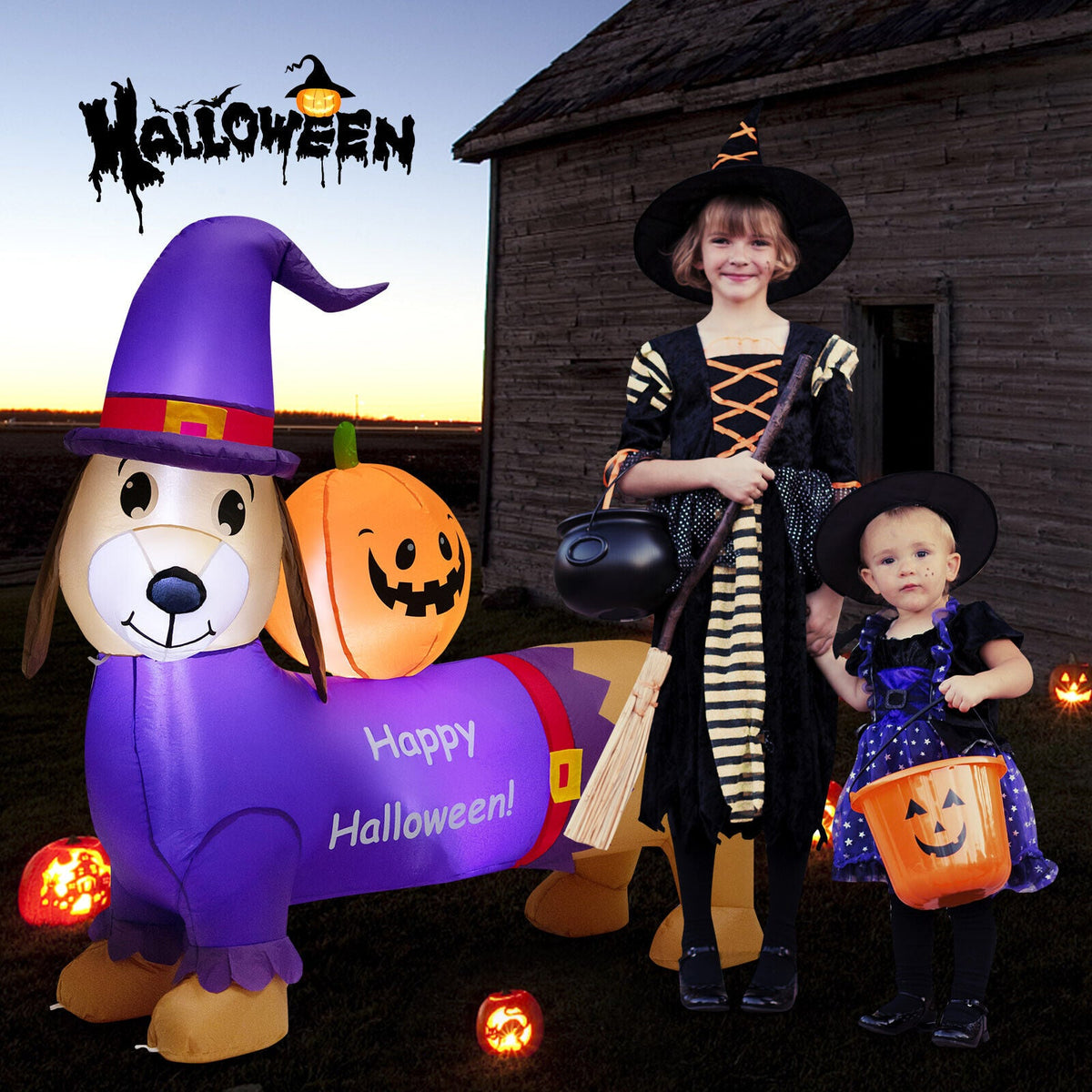 5 ft purple Halloween dachshund with pumpkin DirectDeals inflatable party decor on Tampa Home & Garden Store