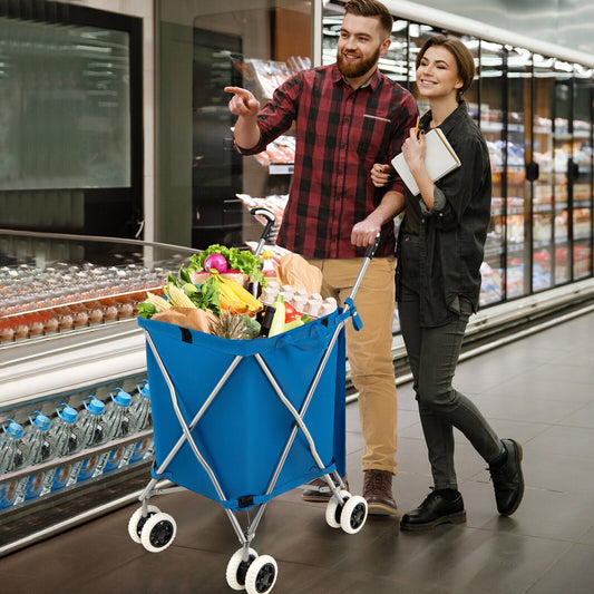 Folding Shopping Utility Cart with Water-Resistant Removable Canvas Bag - Tampa Home & Garden Store