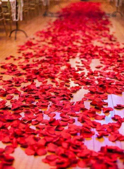 Red artificial rose petals scattered along a wooden aisle for wedding decor 1000pcs on Tampa Home & Garden Store