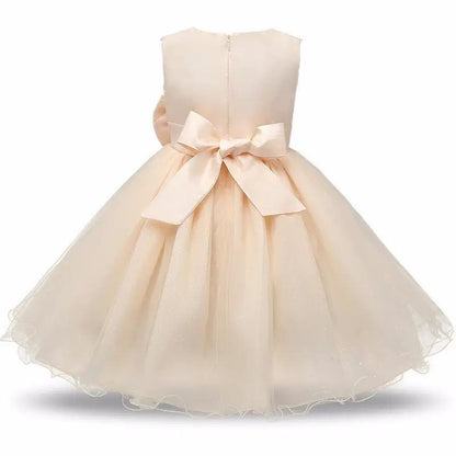 Princess Flower Girl Dress Summer Tutu and Party