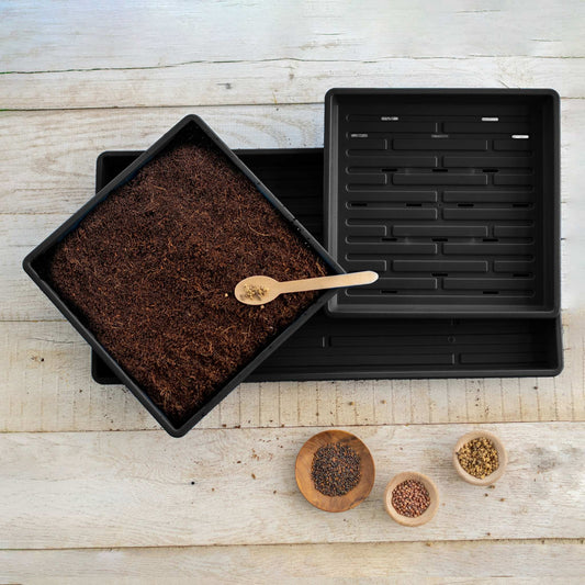 1010 Microgreens Kit - Tampa Home & Garden Store