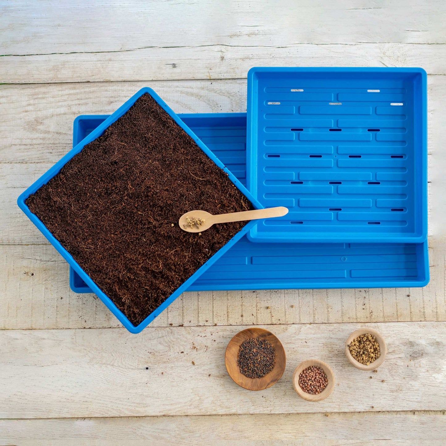 1010 Microgreens Kit - Tampa Home & Garden Store