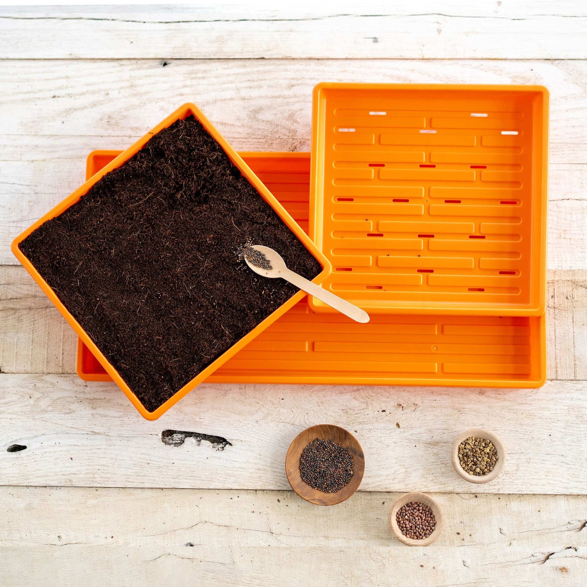 1010 Microgreens Kit - Tampa Home & Garden Store