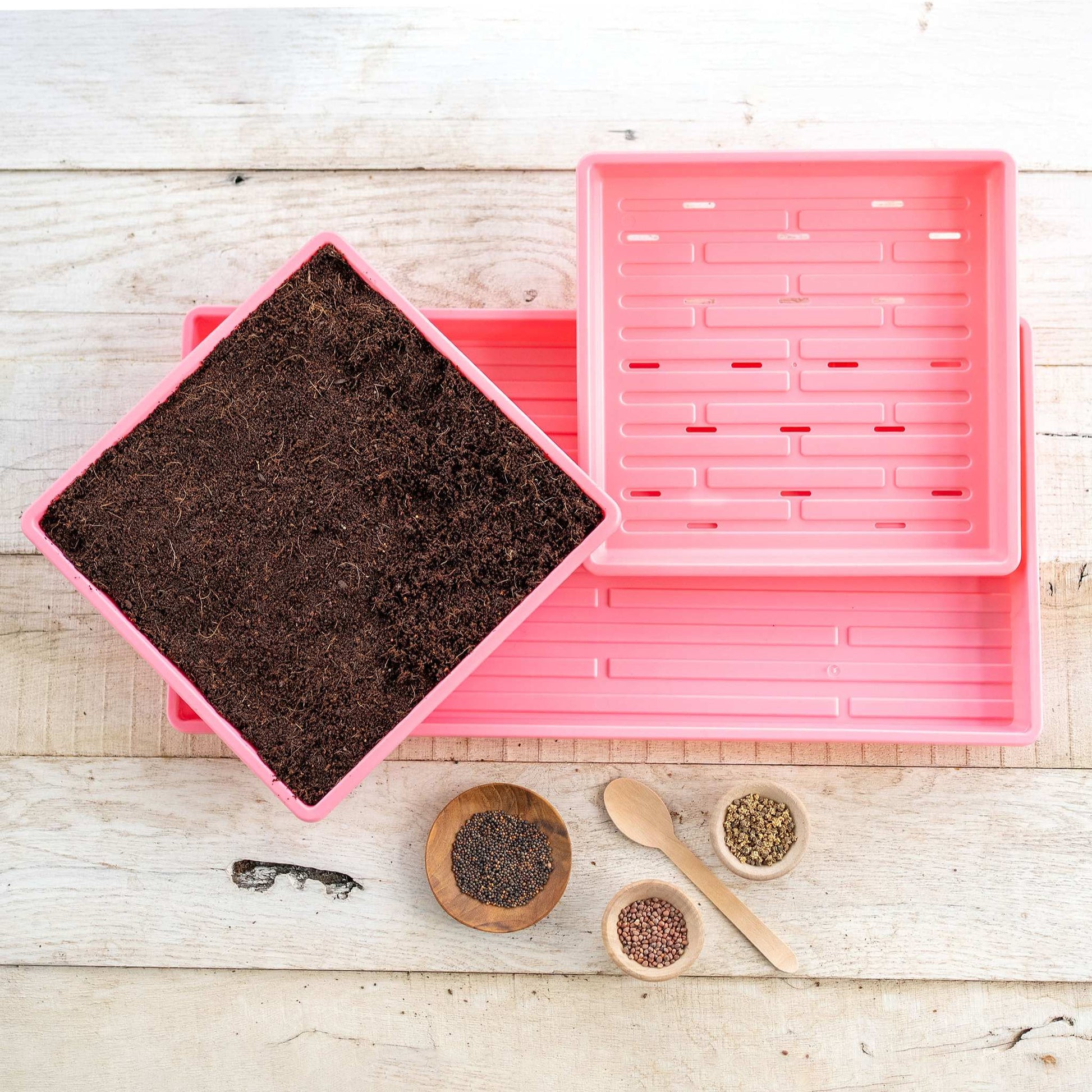 1010 Microgreens Kit - Tampa Home & Garden Store